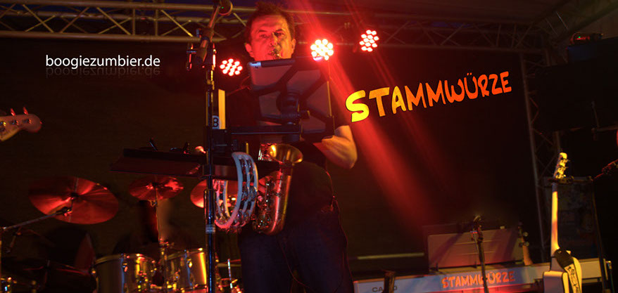 Stammwürze Live